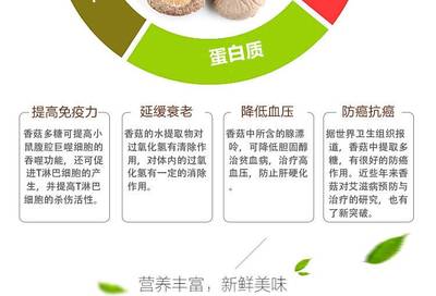 品味福建山珍 富农园特级冬菇，休闲养生新选择