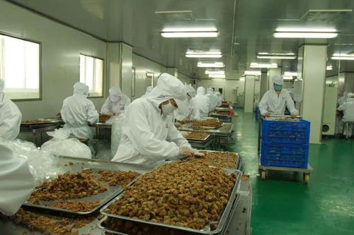 太和农产品加工产业园入选省行动计划，聚焦食用农产品初加工高质量发展